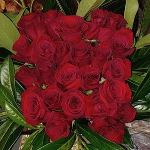 Meet your Posher, Adry